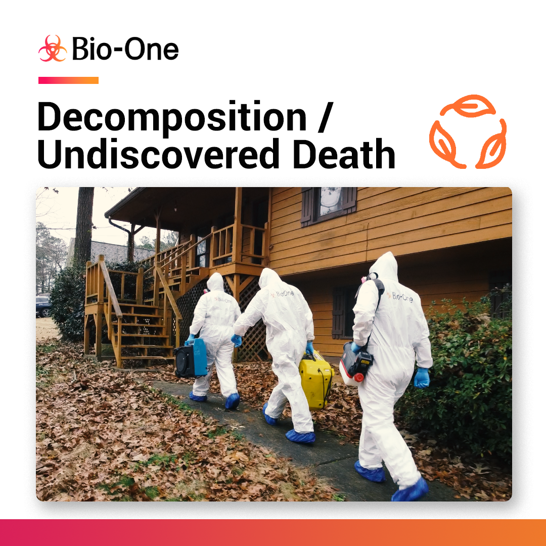 Protecting Public Health: The Role of Expert Biohazard Cleanup