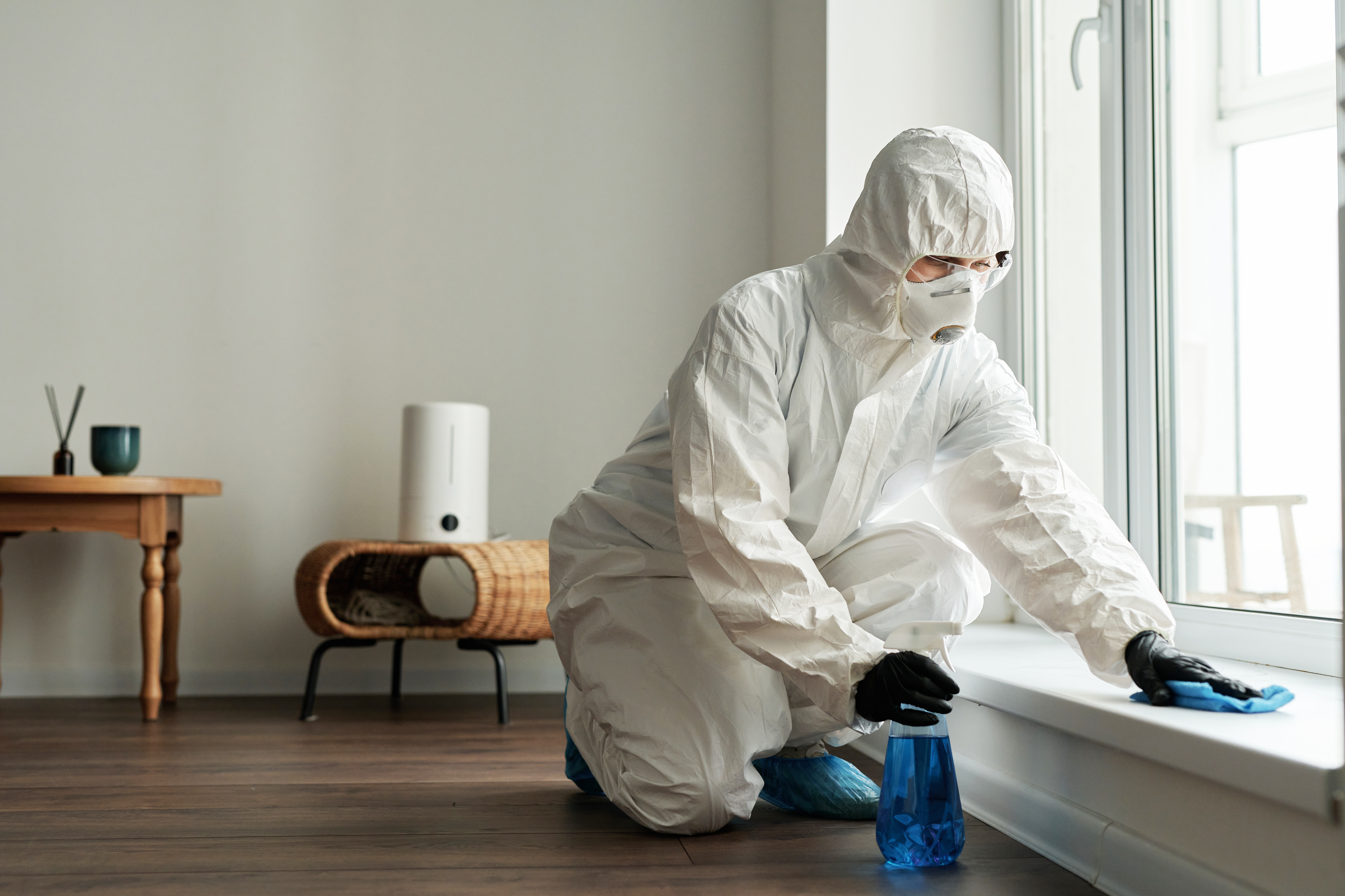 Compassionate Solutions for Animal Hoarding Cleanup: Restoring Your Home with Care