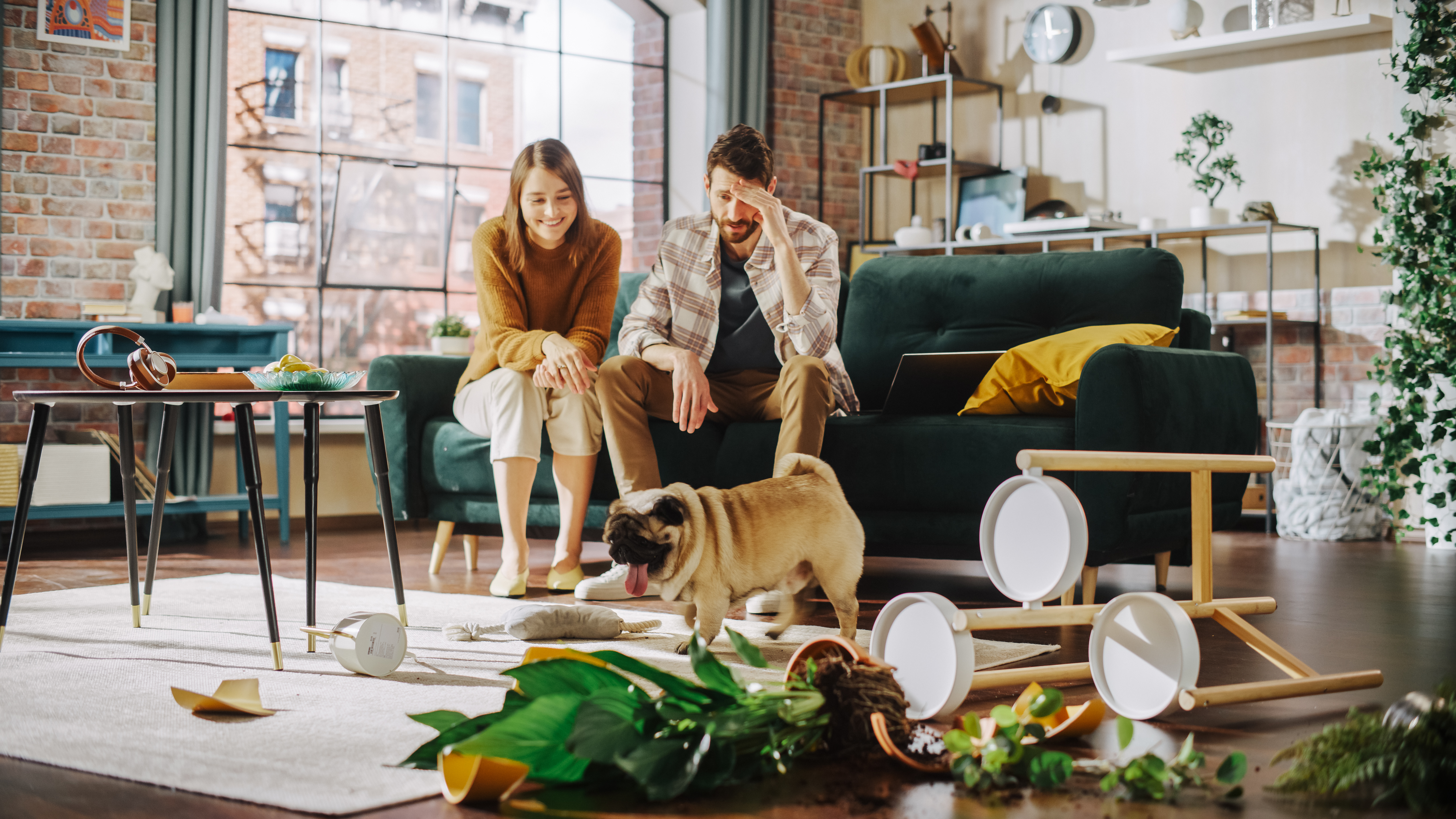 Compassionate Cleanup: Restoring Homes Affected by Animal Hoarding