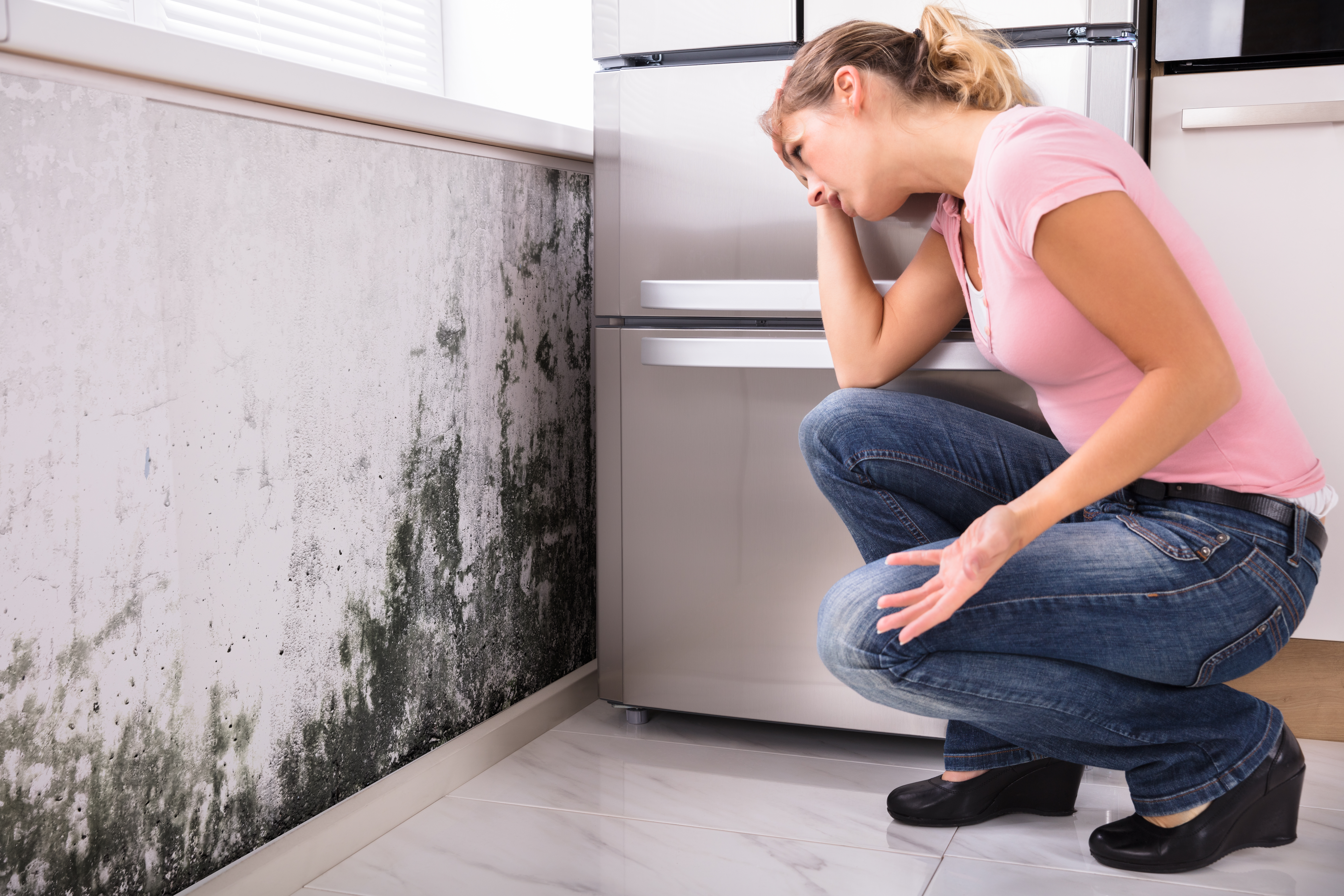 Unseen Threats: Protecting Your Home from Overlooked Health Hazards