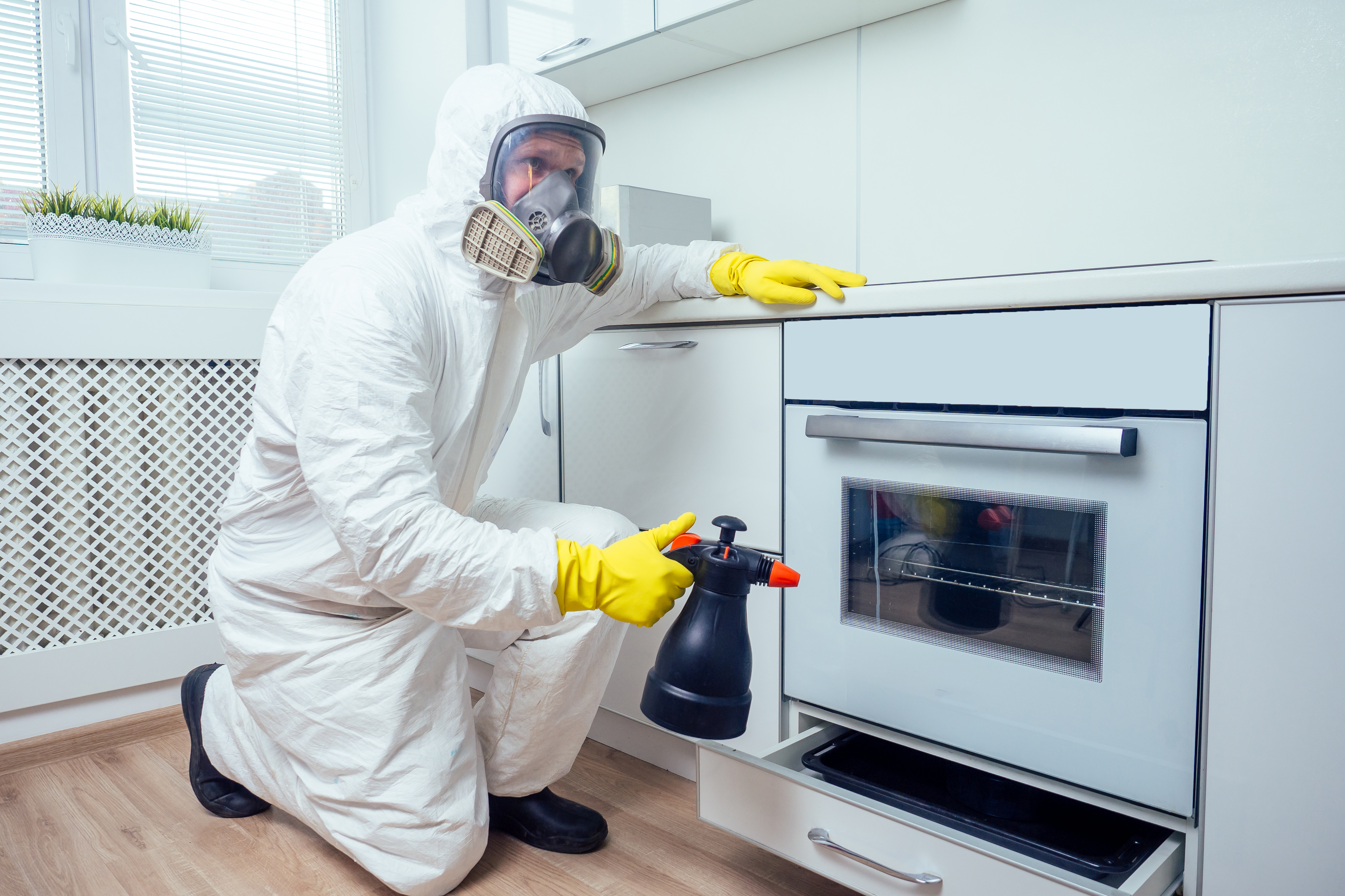 Essential Steps for Landlords to Ensure Biohazard-Free Properties