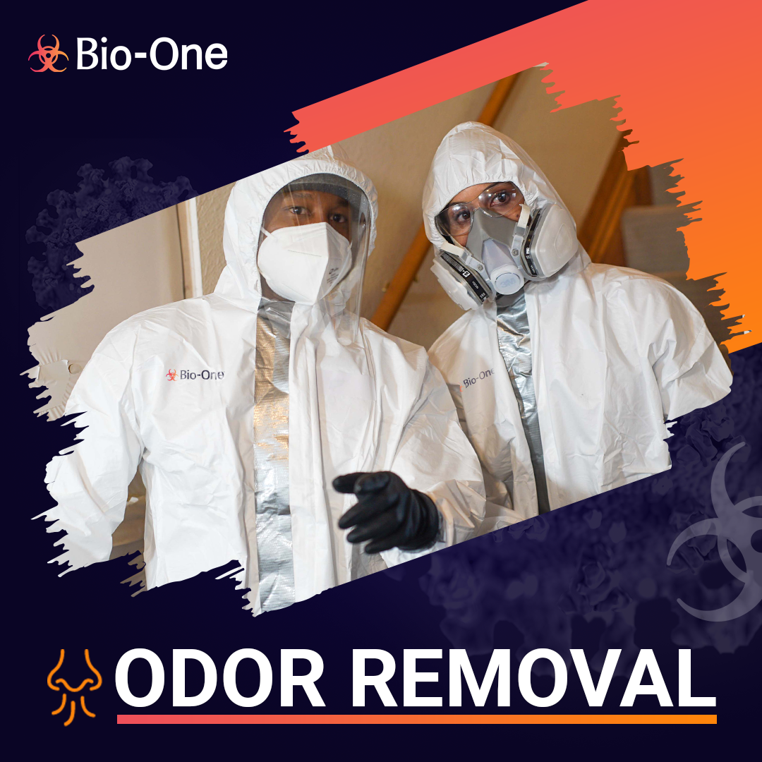 Local Biohazard Cleanup and Public Health: How Bio-One Highlands Keeps North Jersey Safe