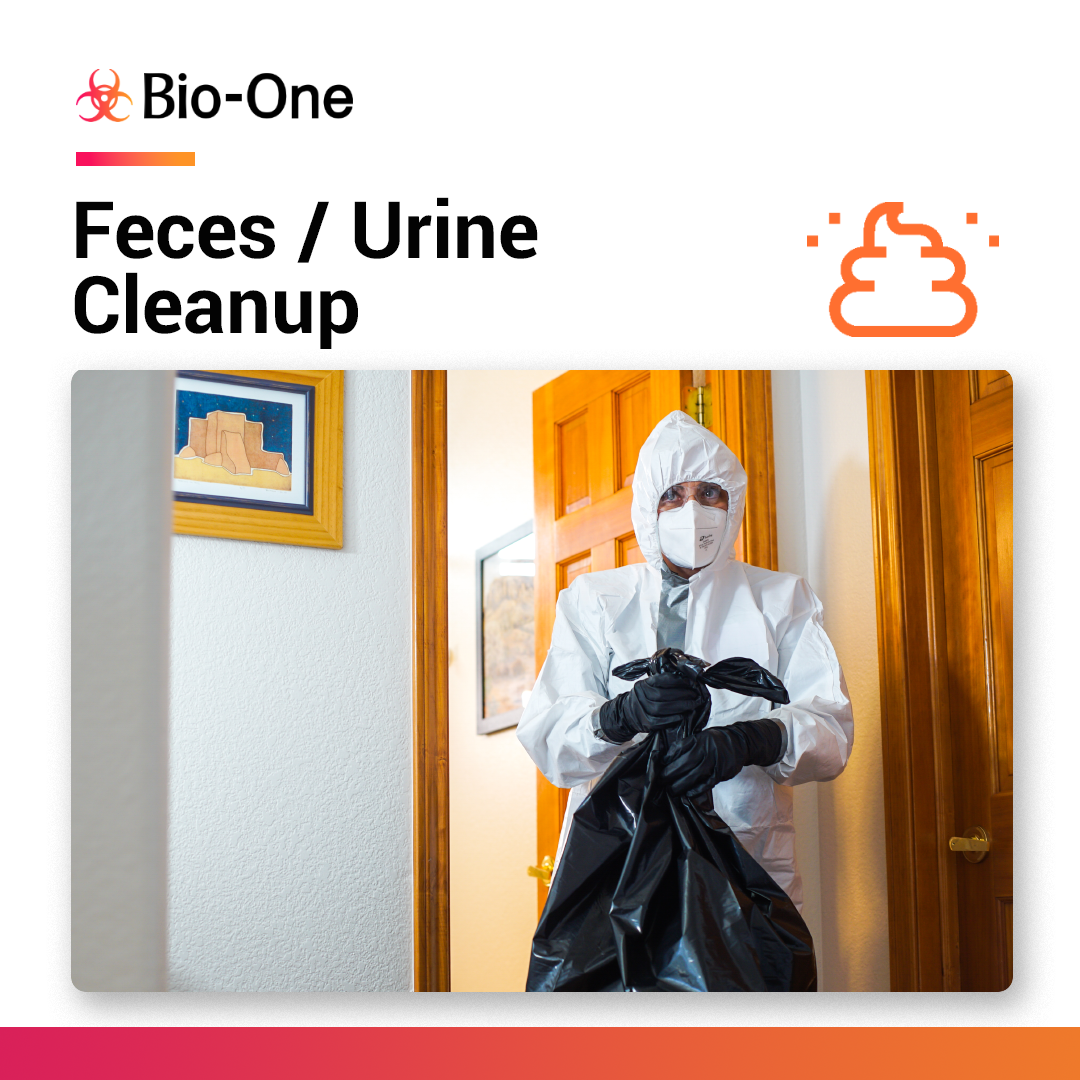 How to Know When You Need Professional Biohazard Cleanup Instead of Standard Cleaning